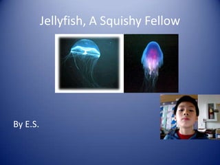 Jellyfish, A Squishy Fellow  By E.S. 