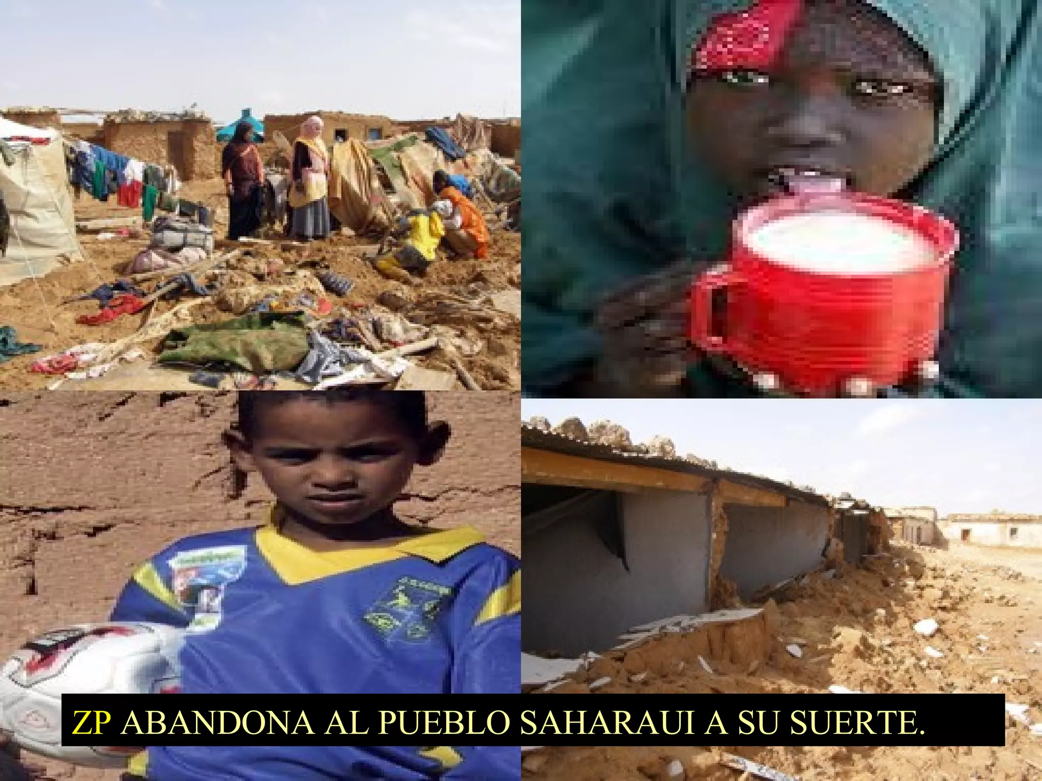 ZP  ABANDONA AL PUEBLO SAHARAUI A SU SUERTE. 