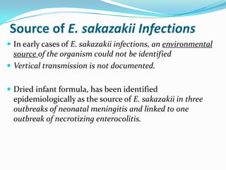 Source of E. sakazakii Infections,[object Object],In early cases of E. sakazakii infections, an environmental source of the organism could not be identified,[object Object],Vertical transmission is not documented.,[object Object],Dried infant formula, has been identified epidemiologically as the source of E. sakazakii in three outbreaks of neonatal meningitis and linked to one outbreak of necrotizing enterocolitis.,[object Object]