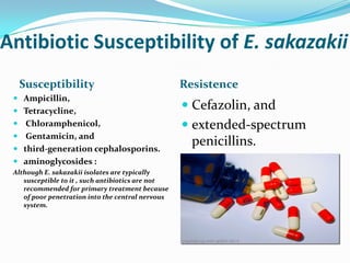 Antibiotic Susceptibility of E. sakazakii,[object Object],Susceptibility ,[object Object],Resistence,[object Object],Ampicillin, ,[object Object],Tetracycline,,[object Object],Chloramphenicol,,[object Object],Gentamicin, and,[object Object],third-generation cephalosporins. ,[object Object],aminoglycosides :,[object Object],Although E. sakazakii isolates are typically susceptible to it , such antibiotics are not recommended for primary treatment because of poor penetration into the central nervous system.,[object Object],Cefazolin, and,[object Object],extended-spectrum penicillins.,[object Object]