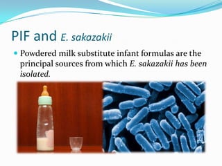 PIF and E. sakazakii ,[object Object],Powdered milk substitute infant formulas are the principal sources from which E. sakazakii has been isolated. ,[object Object]