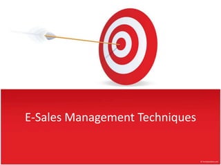 E-Sales Management Techniques 