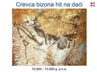 Crevca bizona hit na daći 15.000 - 13.000 g. p.n.e. 