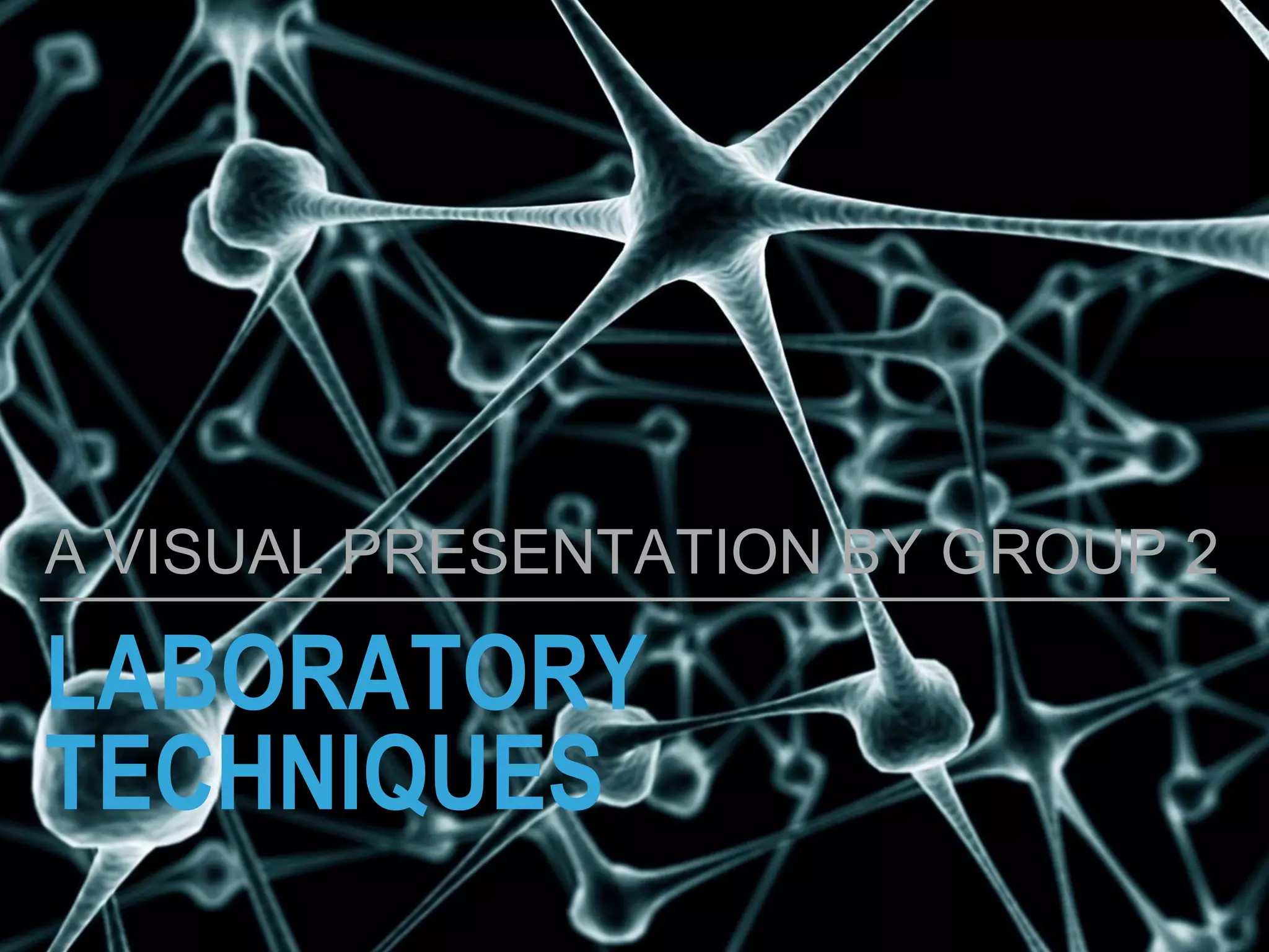 LABORATORY
TECHNIQUES
A VISUAL PRESENTATION BY GROUP 2
 