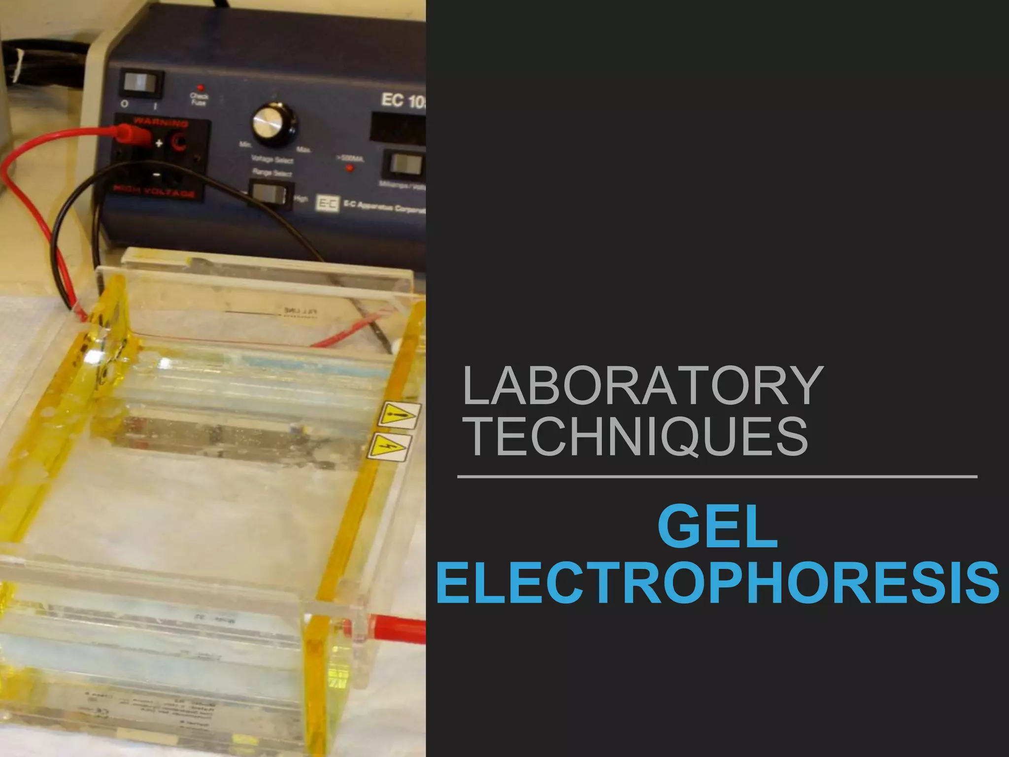 GEL
ELECTROPHORESIS
LABORATORY
TECHNIQUES
 