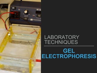 GEL
ELECTROPHORESIS
LABORATORY
TECHNIQUES
 