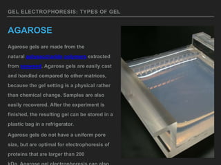 GEL ELECTROPHORESIS: TYPES OF GEL
AGAROSE
Agarose gels are made from the
natural polysaccharide polymers extracted
from seaweed. Agarose gels are easily cast
and handled compared to other matrices,
because the gel setting is a physical rather
than chemical change. Samples are also
easily recovered. After the experiment is
finished, the resulting gel can be stored in a
plastic bag in a refrigerator.
Agarose gels do not have a uniform pore
size, but are optimal for electrophoresis of
proteins that are larger than 200
 