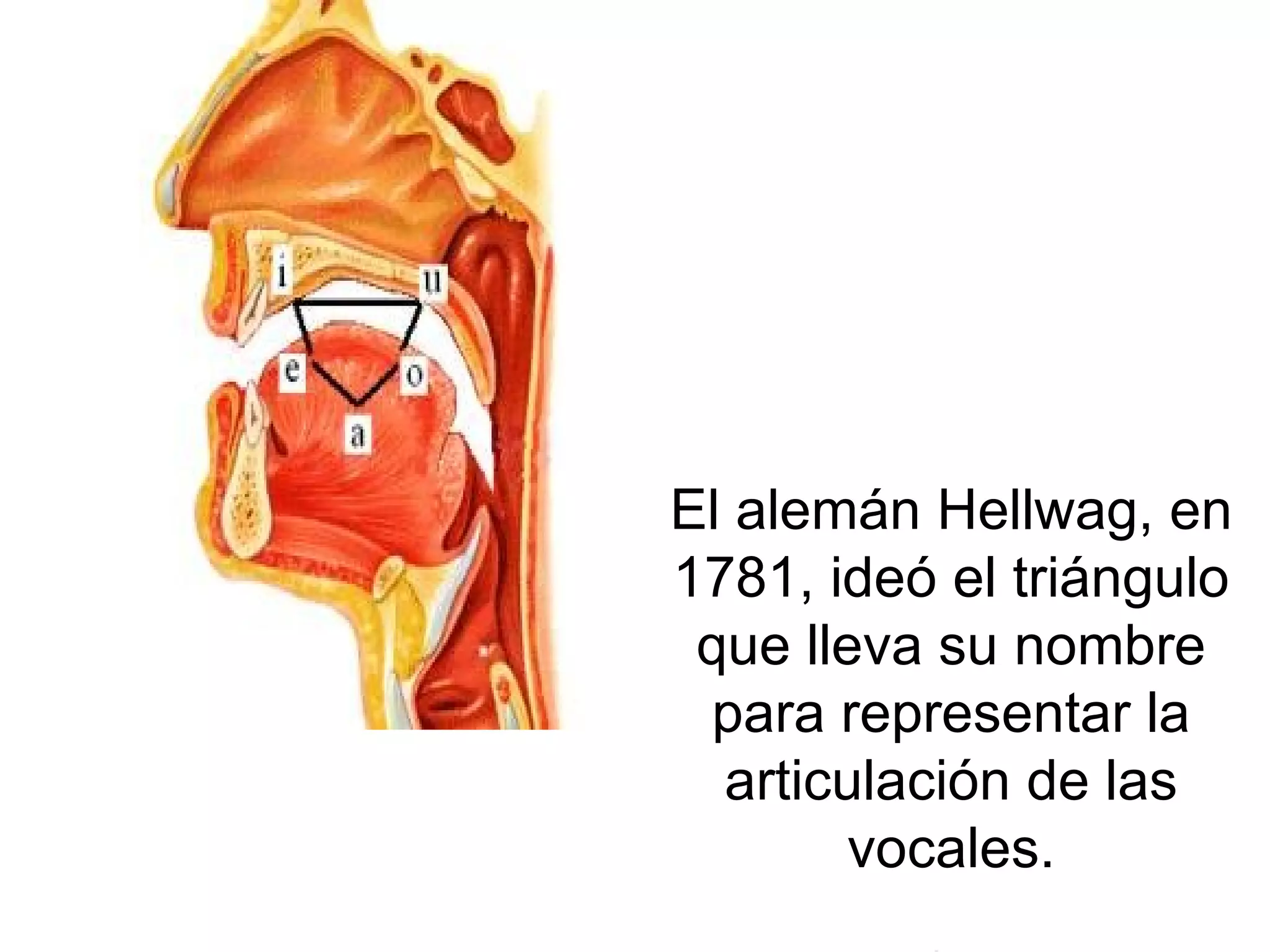 El alemán Hellwag, en 1781, ideó el triángulo que lleva su nombre para representar la articulación de las vocales. 