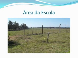 Área da Escola
 