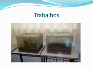 Trabalhos
 