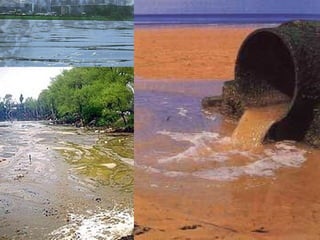 Como seriam as nossas vidas
    sem as E.T.A.R.’s?
 