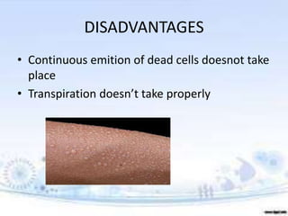 DISADVANTAGES
• Continuous emition of dead cells doesnot take
place
• Transpiration doesn’t take properly
 