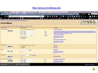 http://www.animalbase.de/
 
