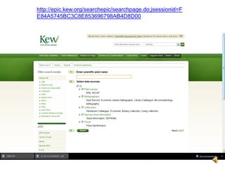 http://epic.kew.org/searchepic/searchpage.do;jsessionid=F
E84A5745BC3C8E853696798AB4D8D00
 