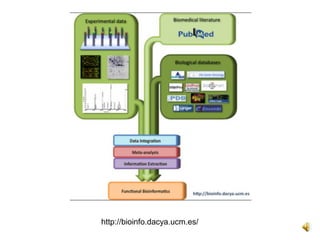 http://bioinfo.dacya.ucm.es/
 