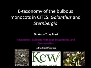 E-taxonomy of the bulbous
monocots in CITES: Galanthus and
          Sternbergia

                          Dr. Anna Trias Blasi
     Researcher, Bulbous Monocot Systematics and
                     Conservation
                            a.triasblasi@kew.org
  Galanthus cf. graecus
                                                   Sternbergia candida




  © A. Trias                                       © Kew
 