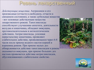 Действующие вещества. Антрахинон и его
производные (отчасти в свободном, отчасти в
связанном состоянии), а также дубильные вещества
- вот основные действующие вещества
лекарственного ревеня. Таногликозиды
способствуют улучшению аппетита, деятельности
желудка и кишечника, обладают вяжущим,
противоспалительным и антисептическим
действием. Антрагликозиды, усиливая
перистальтику кишечника, проявляют
слабительное действие, проявляющееся через 6-8
часов после приема водного настоя корней и
корневищ ревеня. При приеме малых доз
обнаруживается действие таногликозидов и ревень
оказывается вяжущим, при приеме больших доз
настоев проявляется действие антрагликозидов,
обусловливающих слабительное свойство.
 