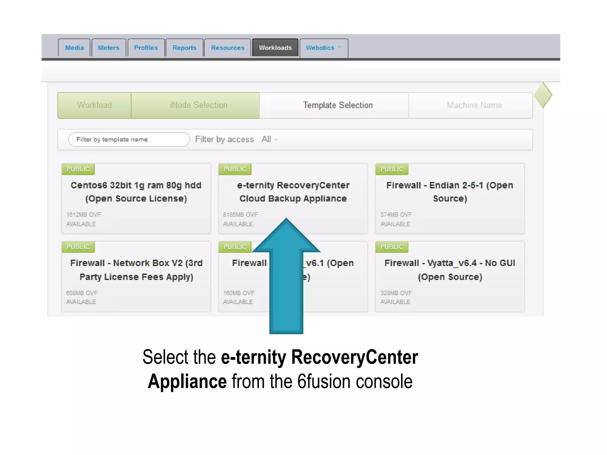 Select the e-ternity RecoveryCenter
Appliance from the 6fusion console
 