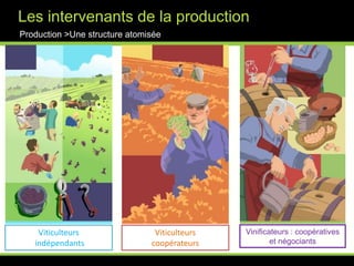 Une production différenciée et catégoriséProduction >Une réalité complexeSource :  INAO