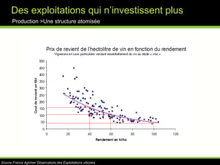 Exemple de la vinification en rougeProduction >Une réalité complexe