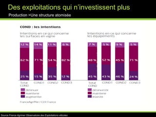 Exemple de la vinification en rougeProduction >Une réalité complexe