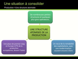 Une baisse structurelle des surfaces viticoles et de la production