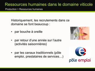 La production et l’élaboration des vinsUne tendance structurelle à la concentration