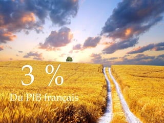 3 %
Du PIB français
 