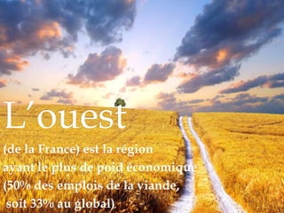 L’ouest
(de la France) est la région
ayant le plus de poid économique
(50% des emplois de la viande,
soit 33% au global)
 