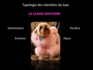 LA CLASSE MOYENNE Ostentatoire Emotion Paraître Plaisir Typologie des clientèles du luxe 