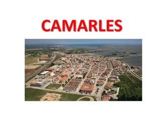 CAMARLES
 