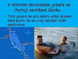 V místním obrovském jezeře se
    chytají nevídané úlovky….
• Toto jezero má pro město velký význam
  také proto, že se u něj nachází vodní
  elektrárna
 