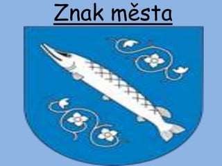 Znak města
 