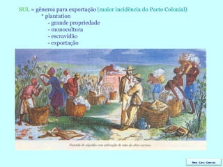 SUL  = gêneros para exportação  (maior incidência do Pacto Colonial) * plantation   - grande propriedade   - monocultura   - escravidão   - exportação Prof. Caco Cardozo 