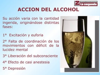 ACCION DEL ALCOHOL Su acción varia con la cantidad ingerida, originándose distintas fases: 1°  Excitación y euforia 2° Falta de coordinación de los movimientos con déficit de la lucidez mental 3° Liberación del subconsciente 4° Efecto de casi anestesia 5° Depresión 