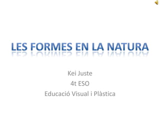 Kei Juste 4t ESO Educació Visual i Plàstica LES FORMES EN LA NATURA 