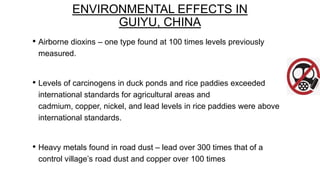 ENVIRONMENTAL EFFECTS IN
GUIYU, CHINA
• Airborne dioxins – one type found at 100 times levels previously
measured.

• Levels of carcinogens in duck ponds and rice paddies exceeded
international standards for agricultural areas and
cadmium, copper, nickel, and lead levels in rice paddies were above
international standards.

• Heavy metals found in road dust – lead over 300 times that of a
control village’s road dust and copper over 100 times

 