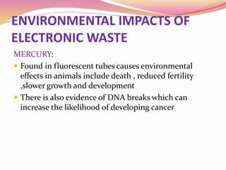 ENVIRONMENTAL IMPACTS OF
ELECTRONIC WASTE
MERCURY:
 Found in fluorescent tubes causes environmental
effects in animals include death , reduced fertility
,slower growth and development
 There is also evidence of DNA breaks which can
increase the likelihood of developing cancer
 