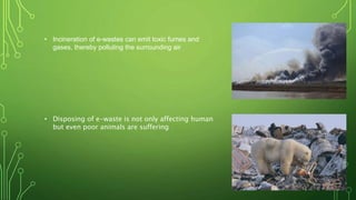 • Incineration of e-wastes can emit toxic fumes and
gases, thereby polluting the surrounding air
• Disposing of e-waste is not only affecting human
but even poor animals are suffering
 