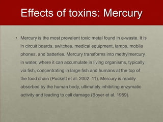 Effects of toxins: MercuryMercury is the most prevalent toxic metal found in e-waste. It is in circuit boards, switches, medical equipment, lamps, mobile phones, and batteries. Mercury transforms into methylmercury in water, where it can accumulate in living organisms, typically via fish, concentrating in large fish and humans at the top of the food chain (Puckett et al. 2002: 11). Mercury is readily absorbed by the human body, ultimately inhibiting enzymatic activity and leading to cell damage (Boyer et al. 1959).