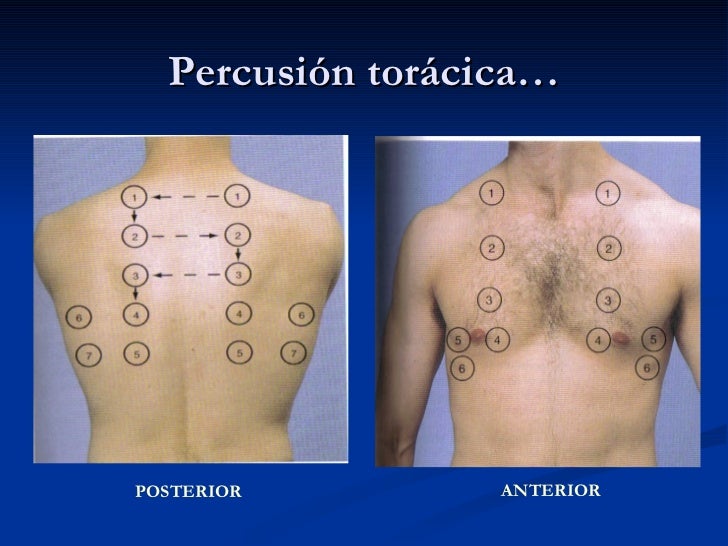 E X A M E N FÍ S I C O D E T O R A X