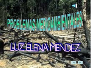 PROBLEMAS MEDIOAMBIENTALES LUZ ELENA MENDEZ  