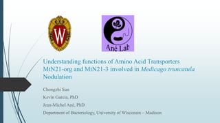 Understanding functions of Amino Acid Transporters
MtN21-org and MtN21-3 involved in Medicago truncatula
Nodulation
Chongzhi Sun
Kevin Garcia, PhD
Jean-Michel Ané, PhD
Department of Bacteriology, University of Wisconsin – Madison
 