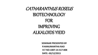 CATHARANTHUS ROSEUS
BIOTECHNOLOGY
FOR
IMPROVING
ALKALOIDS YIEID
SEMINAR PRESENTED BY
P.HANUMANTHA RAO
H.T NO:1007-14-517-008
DATE:-30/12/2015
 