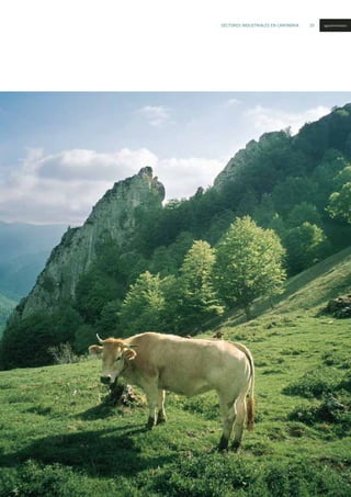SECTORES INDUSTRIALES EN CANTABRIA 25 agroalimentario
 