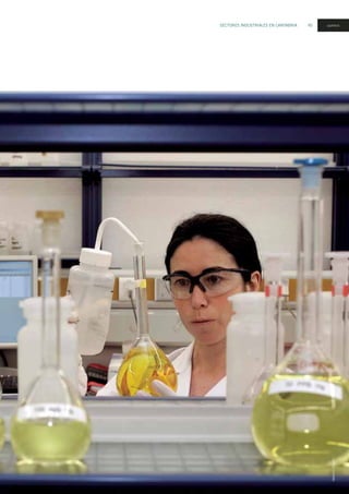 SECTORES INDUSTRIALES EN CANTABRIA 45 químico
IMAGEN:SOLVAY
 