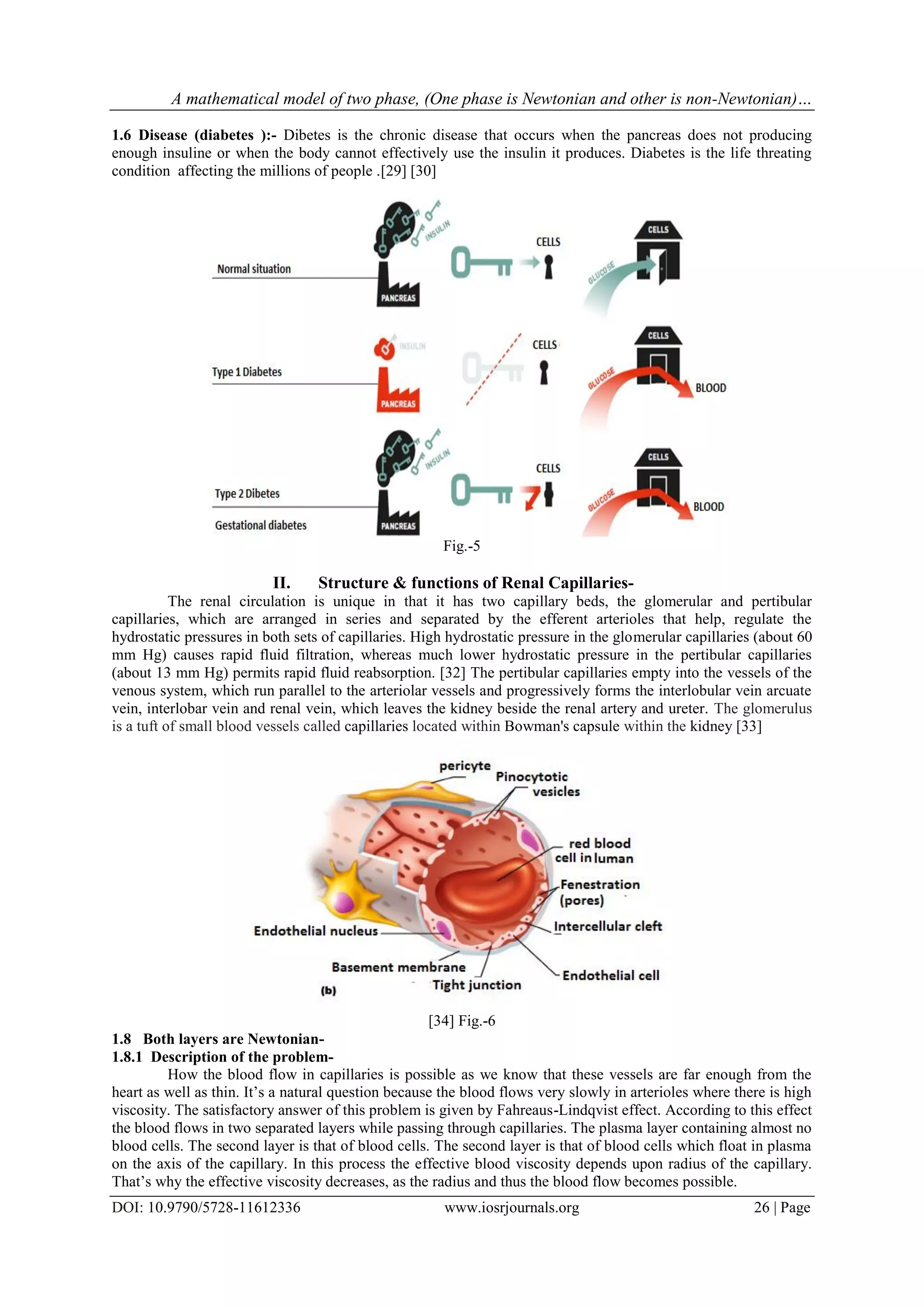 A mathematical model of two phase, (One phase is Newtonian and other is non-Newtonian)…
DOI: 10.9790/5728-11612336 www.iosrjournals.org 26 | Page
1.6 Disease (diabetes ):- Dibetes is the chronic disease that occurs when the pancreas does not producing
enough insuline or when the body cannot effectively use the insulin it produces. Diabetes is the life threating
condition affecting the millions of people .[29] [30]
Fig.-5
II. Structure & functions of Renal Capillaries-
The renal circulation is unique in that it has two capillary beds, the glomerular and pertibular
capillaries, which are arranged in series and separated by the efferent arterioles that help, regulate the
hydrostatic pressures in both sets of capillaries. High hydrostatic pressure in the glomerular capillaries (about 60
mm Hg) causes rapid fluid filtration, whereas much lower hydrostatic pressure in the pertibular capillaries
(about 13 mm Hg) permits rapid fluid reabsorption. [32] The pertibular capillaries empty into the vessels of the
venous system, which run parallel to the arteriolar vessels and progressively forms the interlobular vein arcuate
vein, interlobar vein and renal vein, which leaves the kidney beside the renal artery and ureter. The glomerulus
is a tuft of small blood vessels called capillaries located within Bowman's capsule within the kidney [33]
[34] Fig.-6
1.8 Both layers are Newtonian-
1.8.1 Description of the problem-
How the blood flow in capillaries is possible as we know that these vessels are far enough from the
heart as well as thin. It’s a natural question because the blood flows very slowly in arterioles where there is high
viscosity. The satisfactory answer of this problem is given by Fahreaus-Lindqvist effect. According to this effect
the blood flows in two separated layers while passing through capillaries. The plasma layer containing almost no
blood cells. The second layer is that of blood cells. The second layer is that of blood cells which float in plasma
on the axis of the capillary. In this process the effective blood viscosity depends upon radius of the capillary.
That’s why the effective viscosity decreases, as the radius and thus the blood flow becomes possible.
 