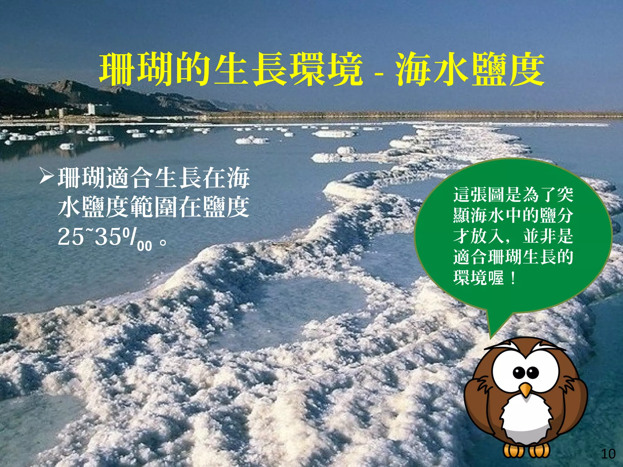 10
珊瑚適合生長在海
水鹽度範圍在鹽度
25~350
/00 。
珊瑚的生長環境 - 海水鹽度
這張圖是為了突
顯海水中的鹽分
才放入，並非是
適合珊瑚生長的
環境喔 !
 