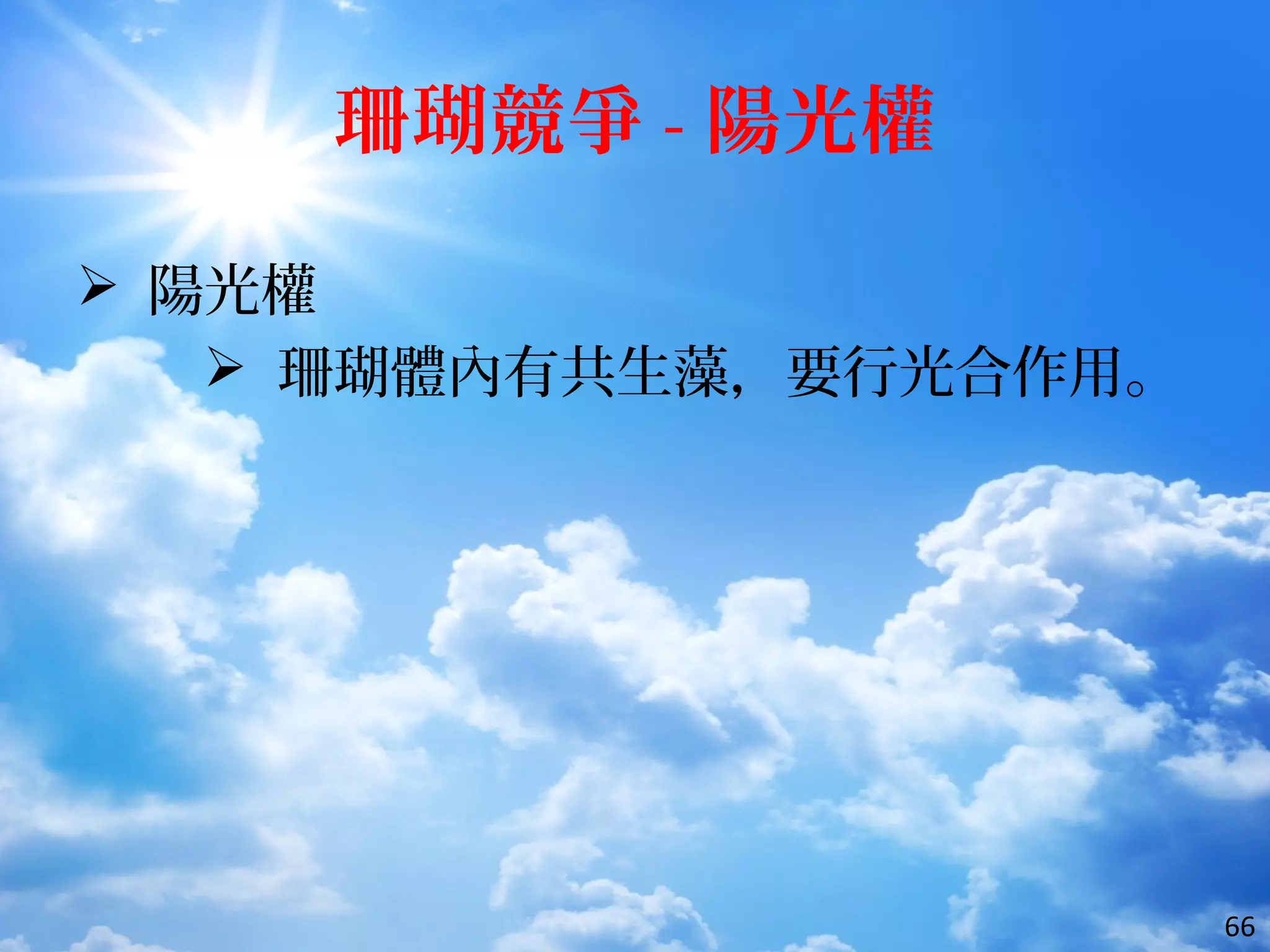 珊瑚競爭 - 陽光權
 陽光權
 珊瑚體內有共生藻，要行光合作用。
66
 