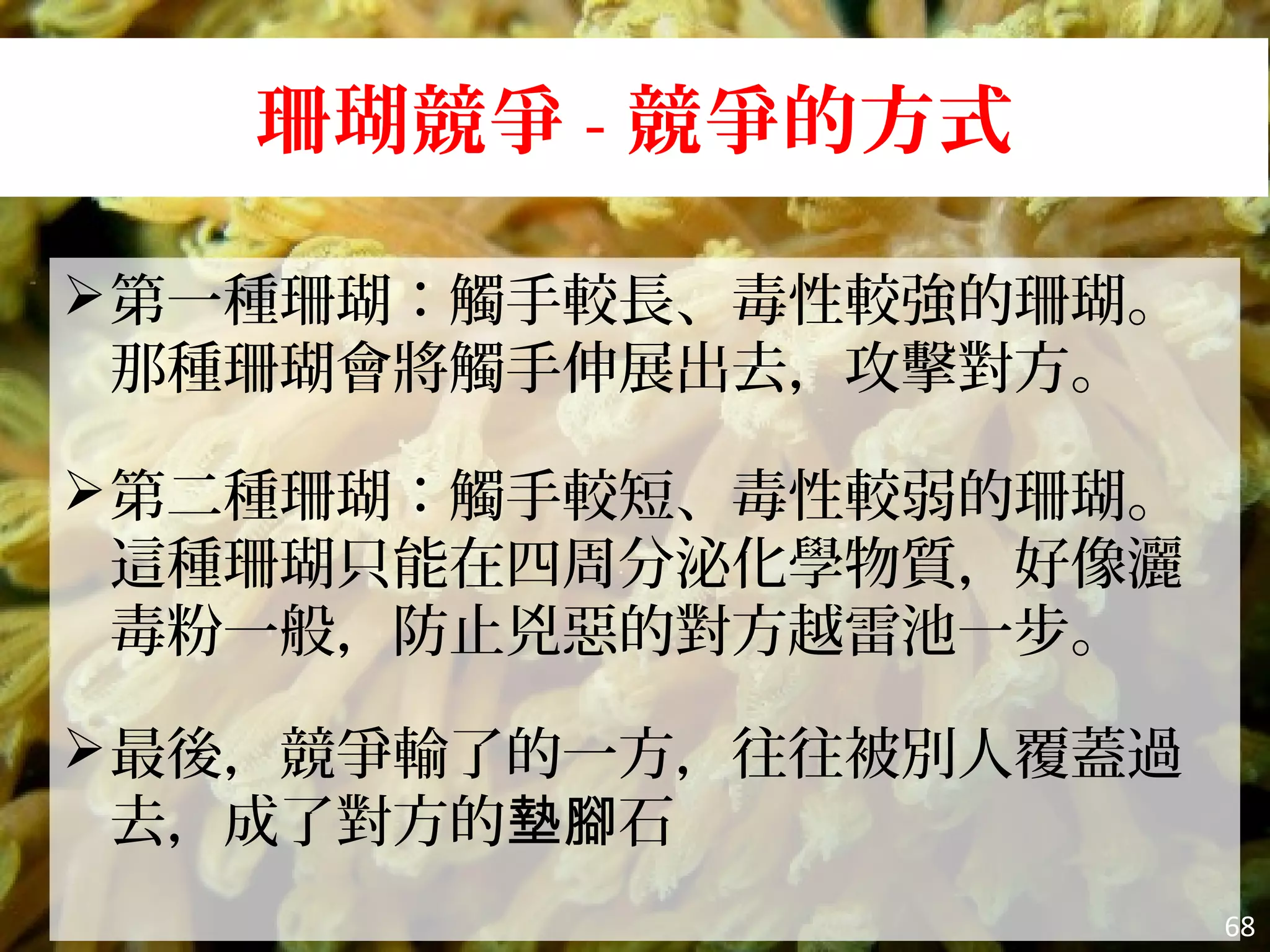 珊瑚競爭 - 競爭的方式
68
第一種珊瑚：觸手較長、毒性較強的珊瑚。
那種珊瑚會將觸手伸展出去，攻擊對方。
第二種珊瑚：觸手較短、毒性較弱的珊瑚。
這種珊瑚只能在四周分泌化學物質，好像灑
毒粉一般，防止兇惡的對方越雷池一步。
最後，競爭輸了的一方，往往被別人覆蓋過
去，成了對方的 石墊腳
 